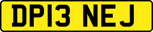 DP13NEJ