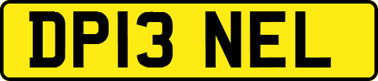 DP13NEL