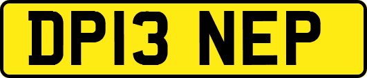 DP13NEP