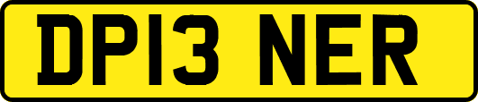 DP13NER