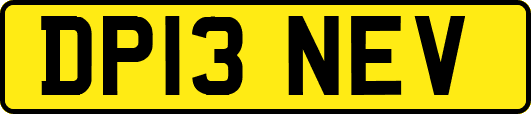 DP13NEV