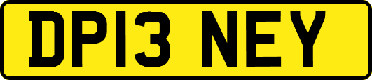 DP13NEY