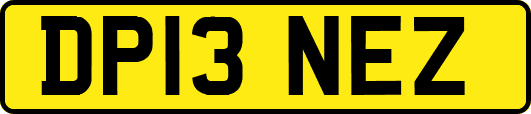 DP13NEZ