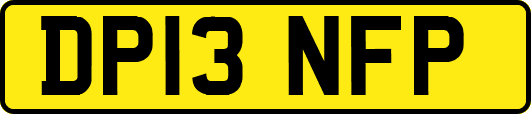 DP13NFP