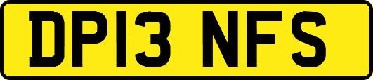 DP13NFS