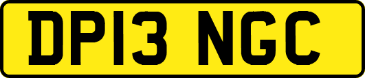 DP13NGC