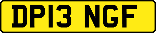 DP13NGF