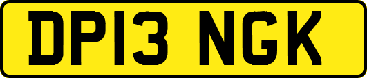 DP13NGK