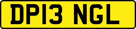 DP13NGL