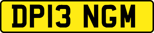 DP13NGM