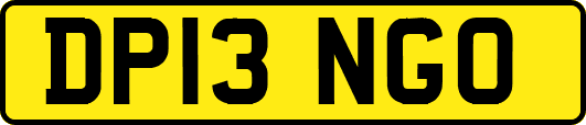 DP13NGO