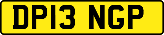 DP13NGP