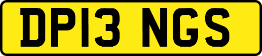 DP13NGS
