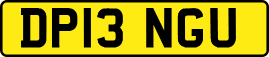 DP13NGU