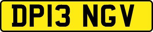 DP13NGV