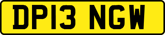 DP13NGW
