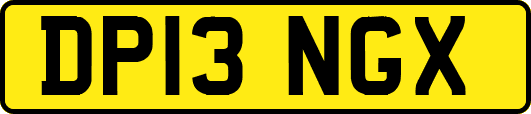 DP13NGX