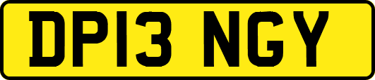DP13NGY