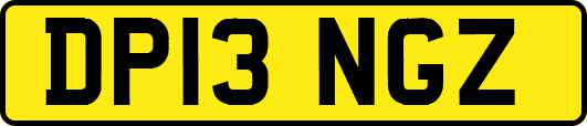 DP13NGZ