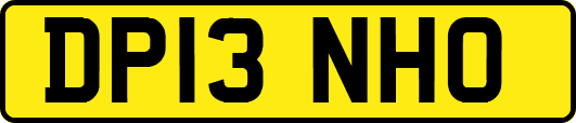 DP13NHO