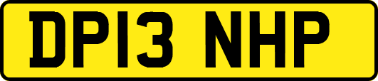 DP13NHP