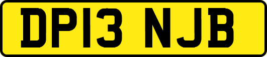 DP13NJB