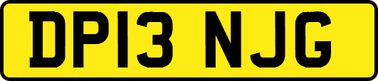 DP13NJG