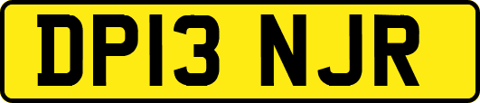 DP13NJR