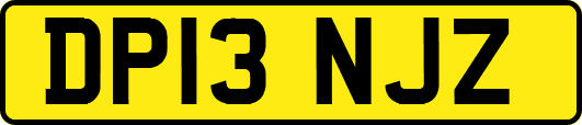 DP13NJZ