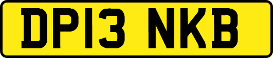 DP13NKB