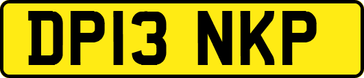 DP13NKP