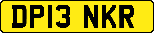 DP13NKR
