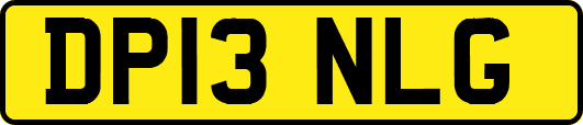 DP13NLG