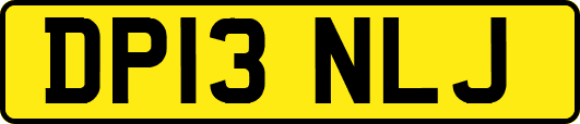 DP13NLJ