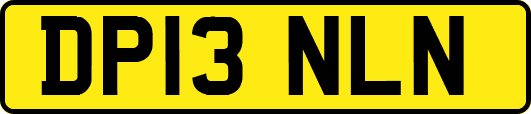 DP13NLN