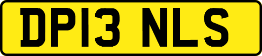 DP13NLS