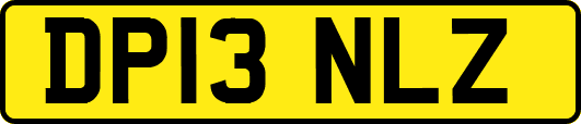 DP13NLZ