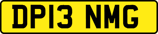 DP13NMG