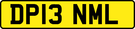 DP13NML