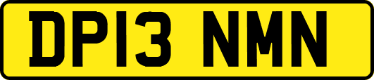 DP13NMN