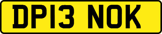 DP13NOK