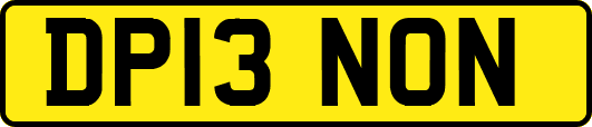 DP13NON