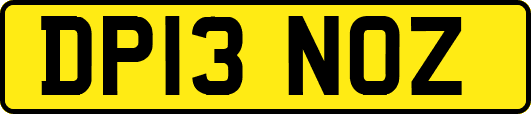 DP13NOZ