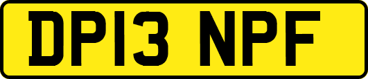 DP13NPF