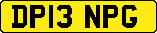 DP13NPG