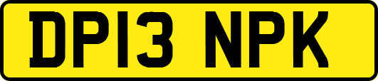 DP13NPK