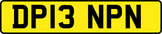 DP13NPN