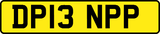 DP13NPP
