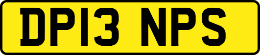 DP13NPS
