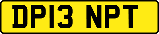 DP13NPT
